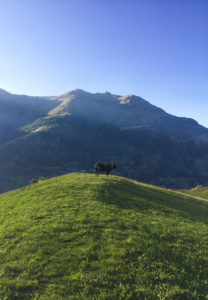 Grächen - Swiss Alps