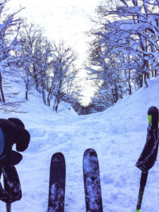 Nozawa Onsen Japan - Powder Skiing