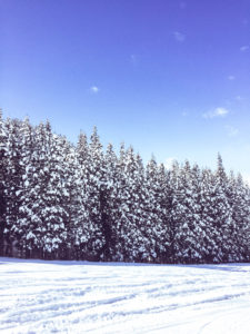 Nozawa Onsen Japan - Snow Landscape