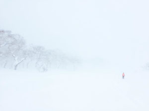 Niseko Japan - Lost in the storm