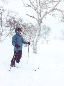 Niseko Japan - Trees