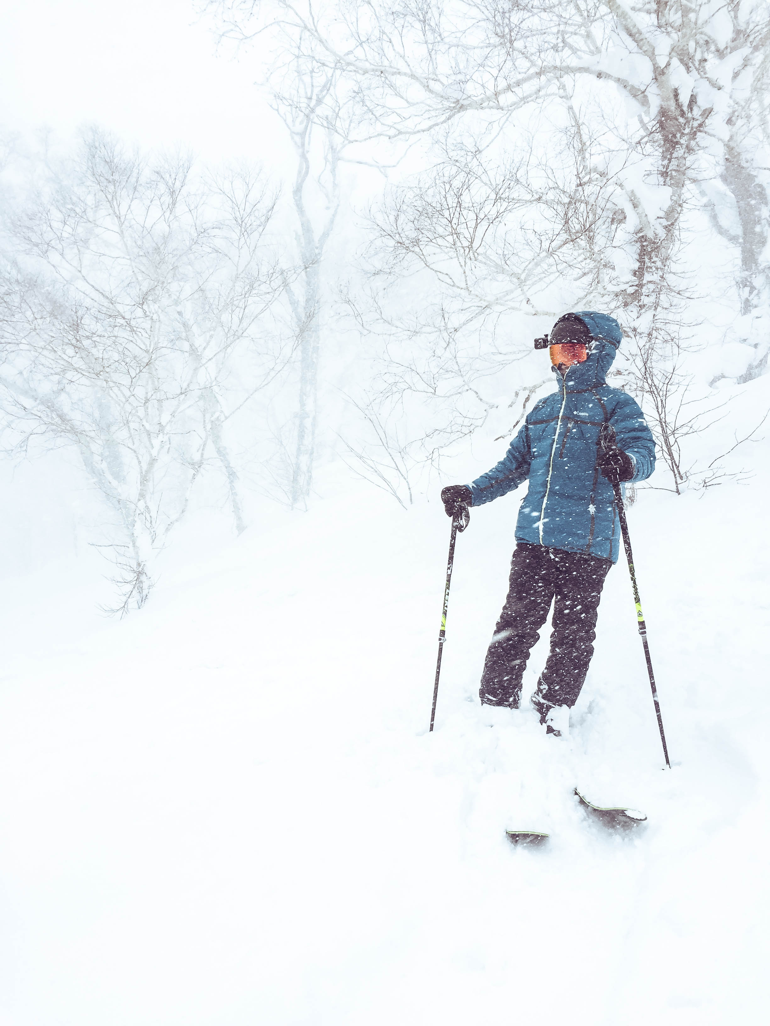 Niseko Japan - Skiing