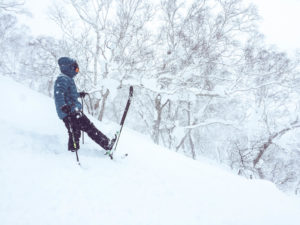 Niseko Japan - Powder Skiing