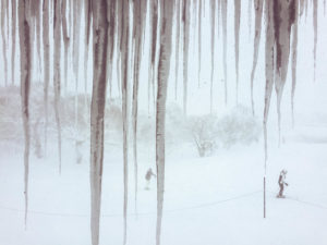 Niseko Japan - Icicle