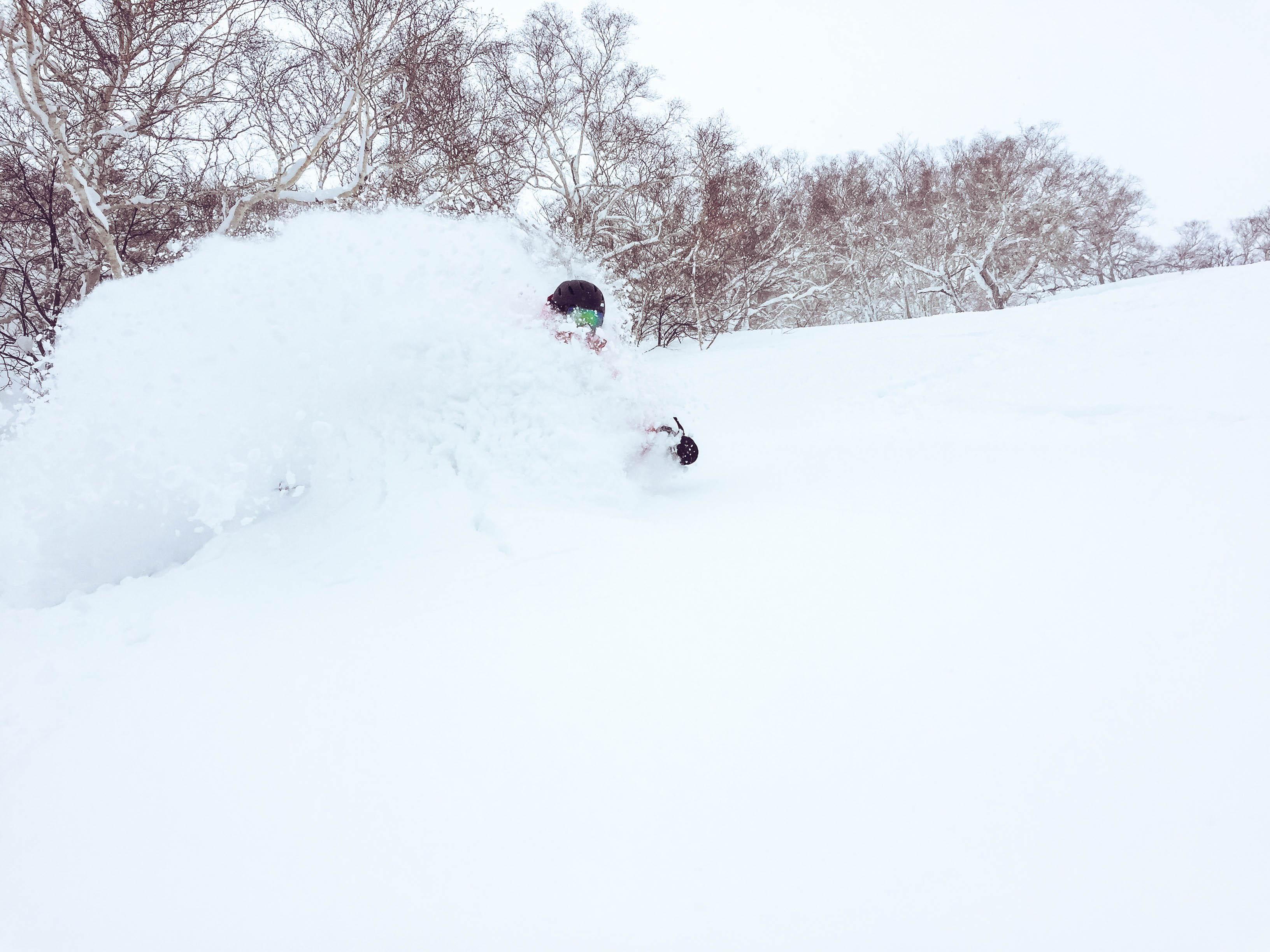 Niseko Japan - Powder Skiing