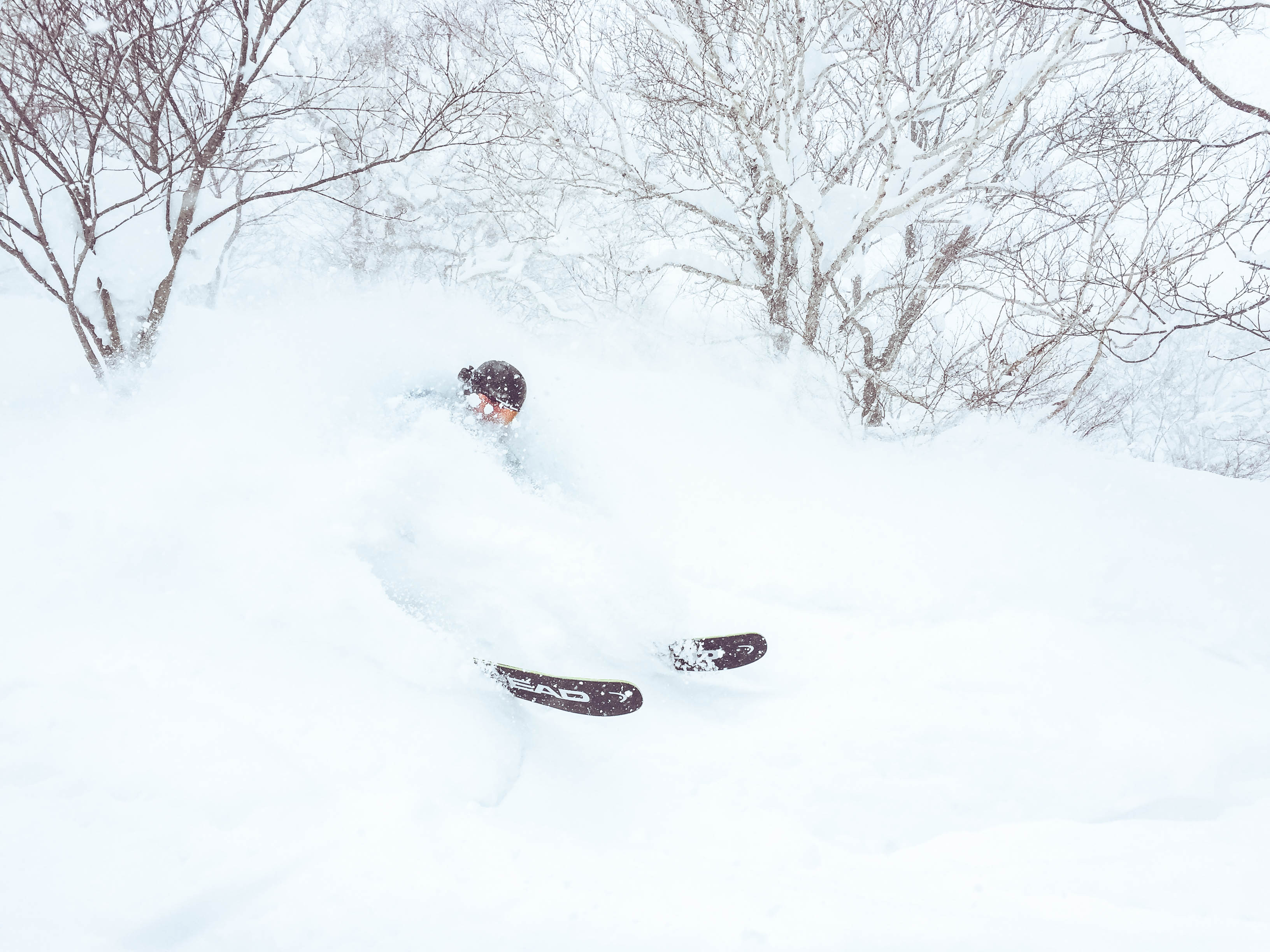Niseko Japan - Powder Skiing