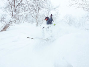 Niseko Japan - Powder Skiing