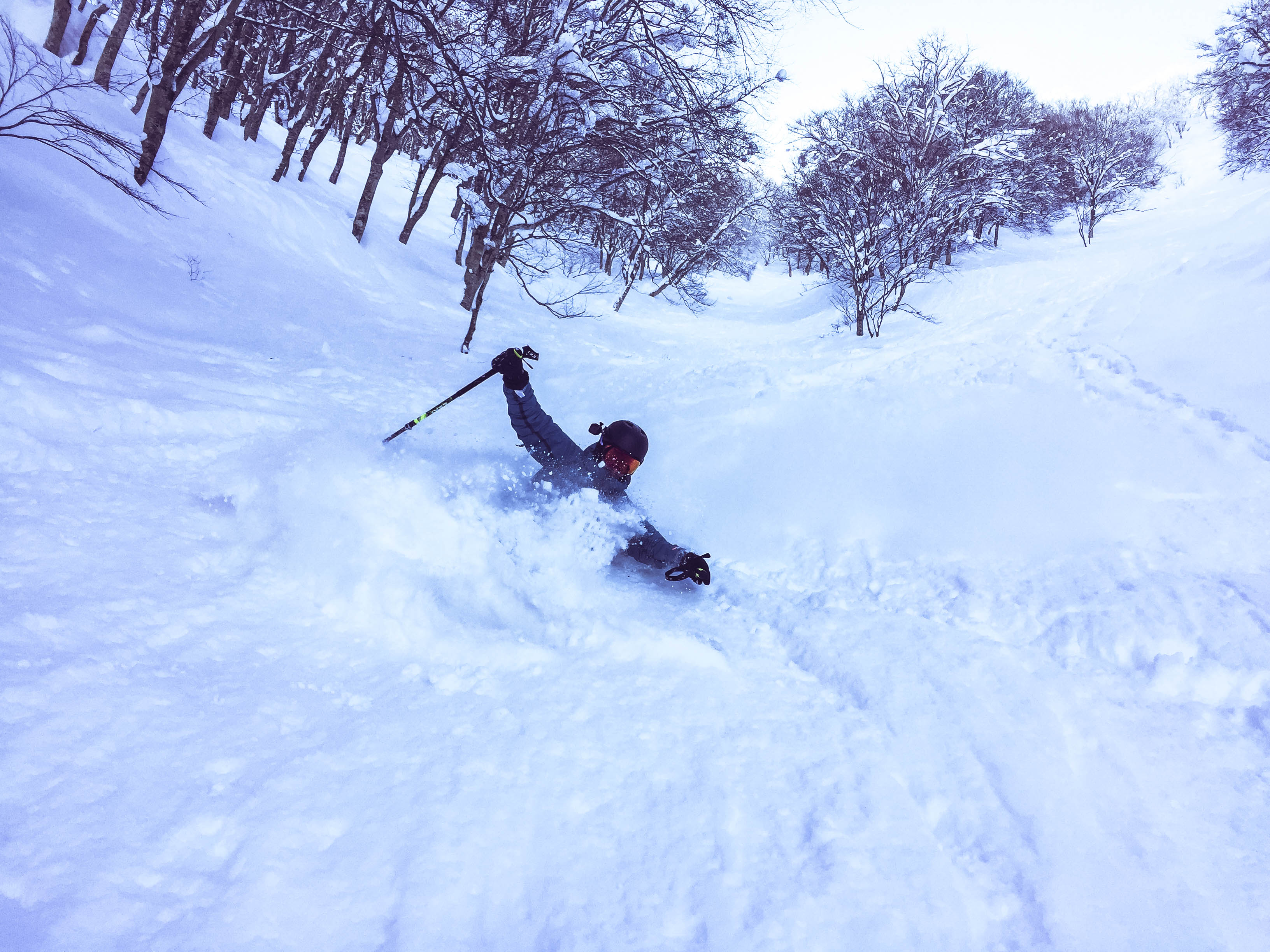 Nozawa Onsen Japan - Powder Skiing