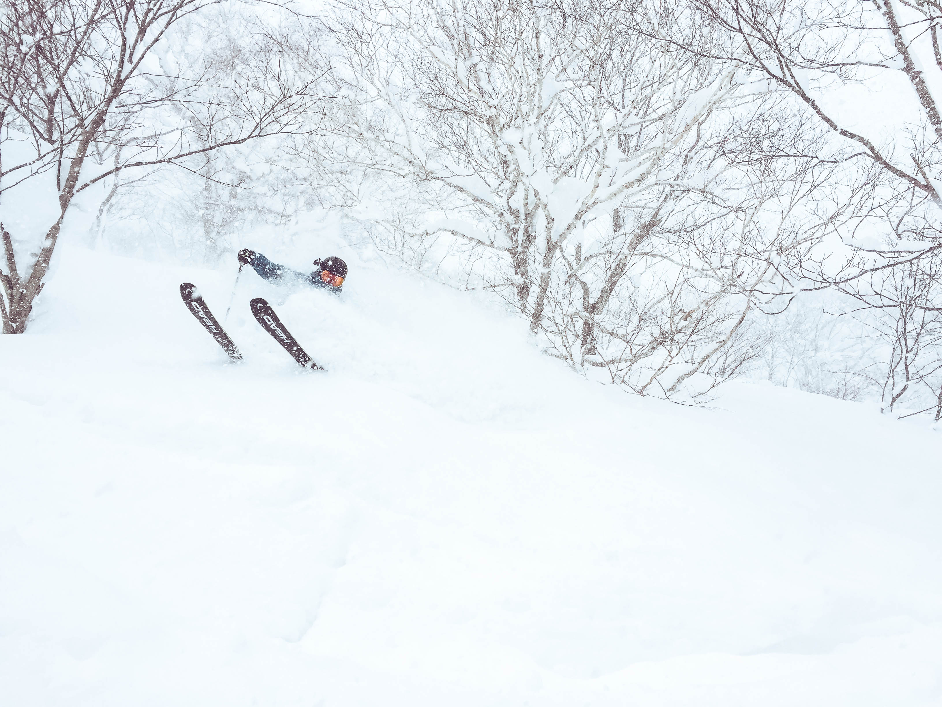 Niseko - Powder Skiing Japan