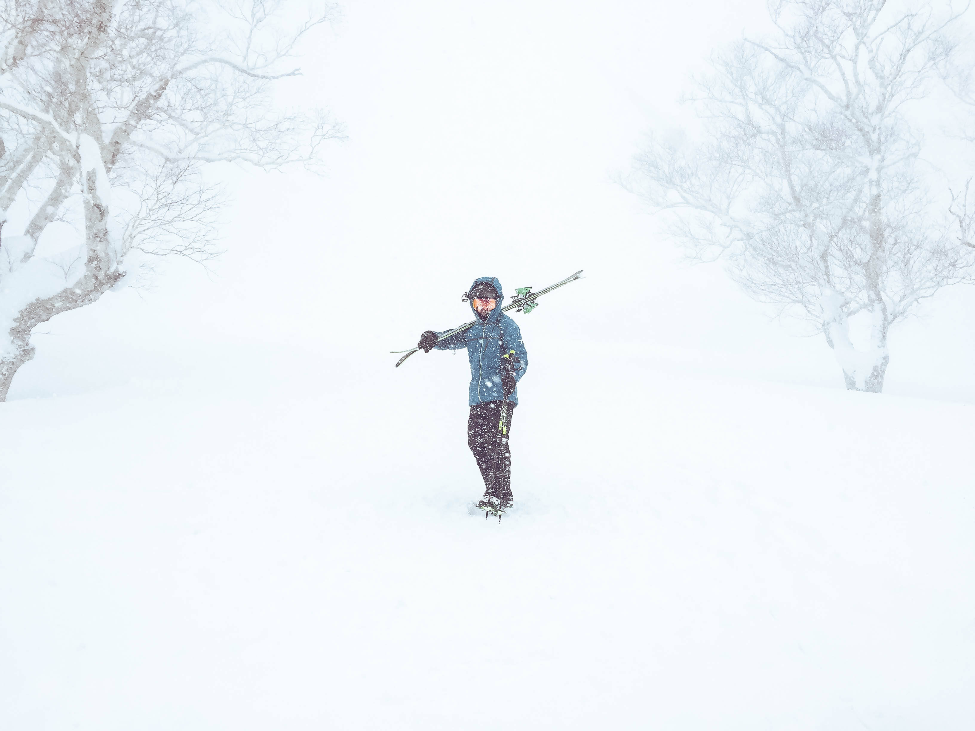 Niseko - Powder Skiing Japan