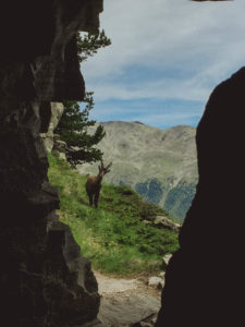 Höhenweg Grächen - Saas Fee