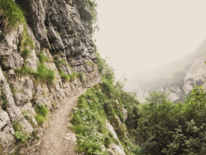 Meglisalp - Säntis - Äscher Hike