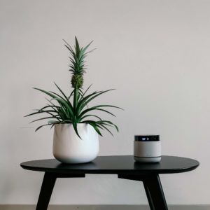 Pure StreamR