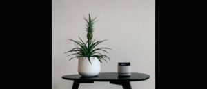 Pure StreamR